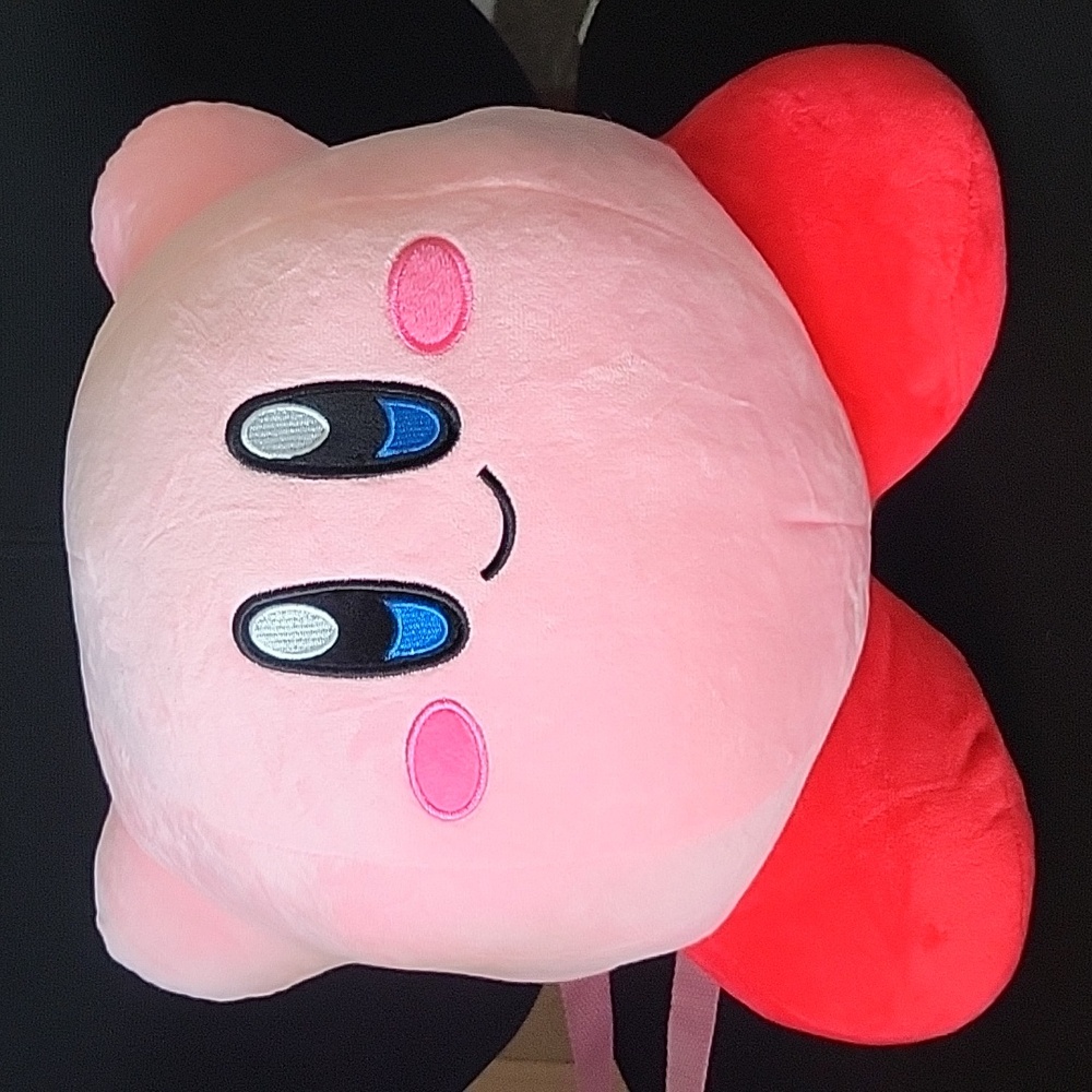 Kirby backpack